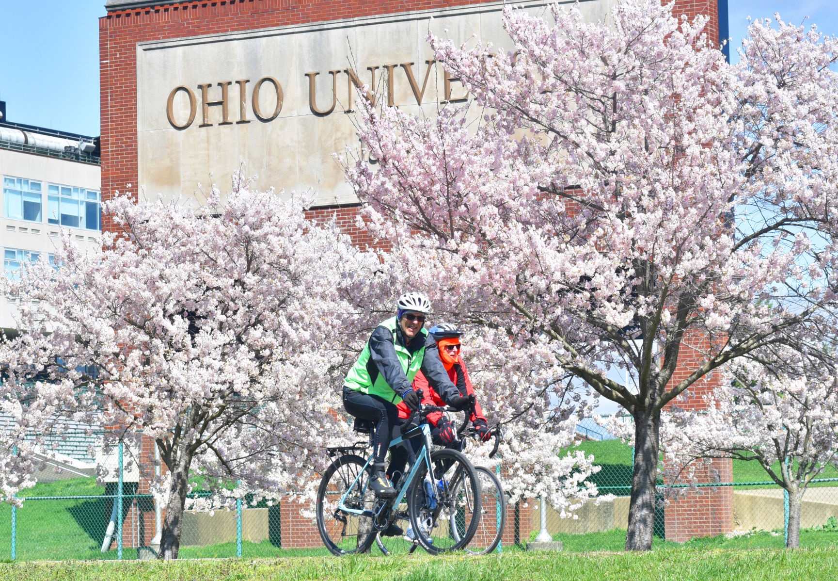 Biking in bloom